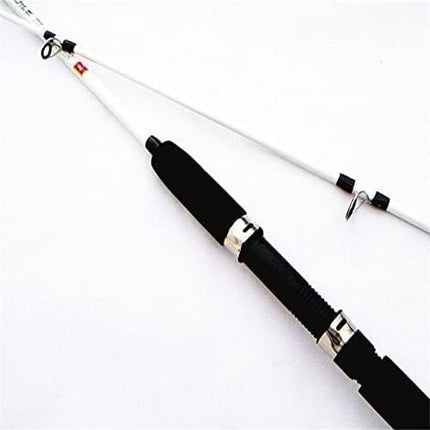 2pc Fishing Rod – Lightweight Pole for Freshwater & Saltwater – Portable Collapsible Fishing Stick with EVA Grip