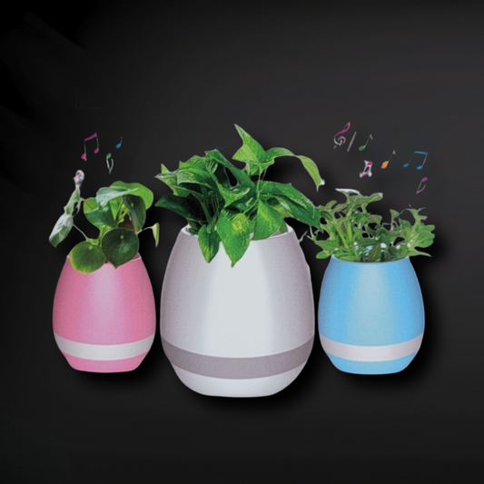 Smart Music Flower Pot - Tap to Activate Music - Zack Wholesale