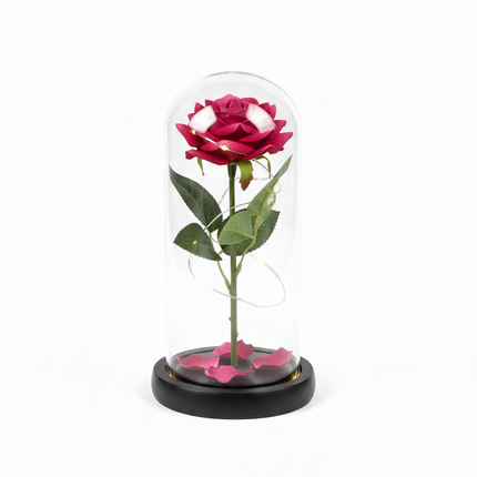 Valentine Gift: LED Rose in Glass Encasing