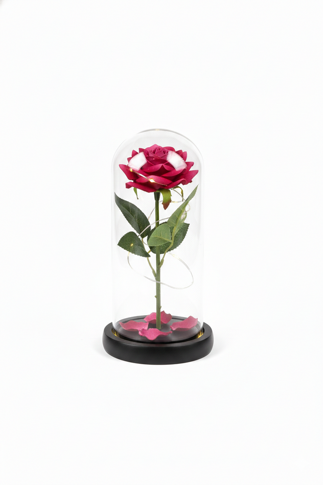 Valentine Gift: LED Rose in Glass Encasing