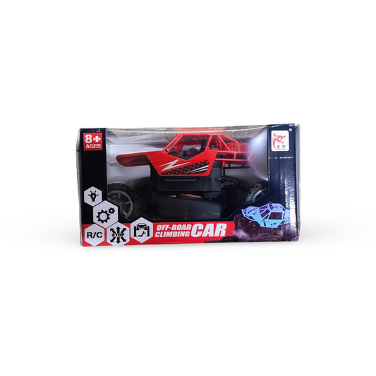 TY-FN010A R/C Off-road Buggy