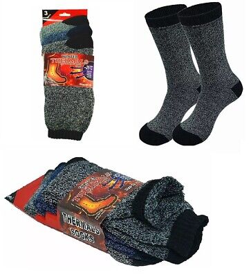 Thermal Insulated Winter Socks (1 Dozen)